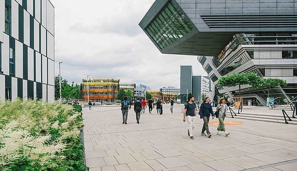 Several people strolling at uni