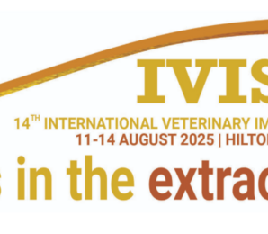 IVIS2025