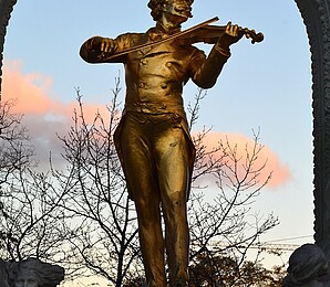 Johann Strauss