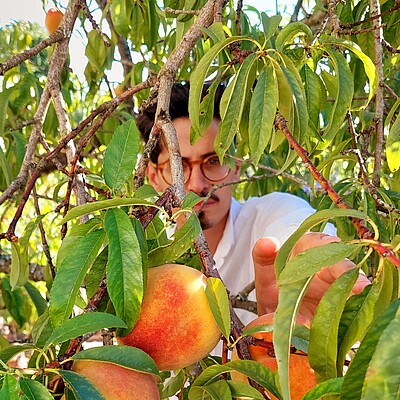 Miguel Mesquita