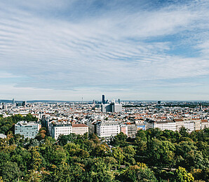 Aerial photo of Vienna