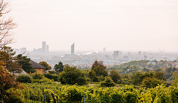 Panorama Vienna city view from Nussberg 