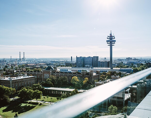 View of Vienna and a large tower from an outlook spot on a sunny day