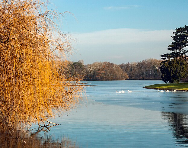 View of Laxenburg near Vienna