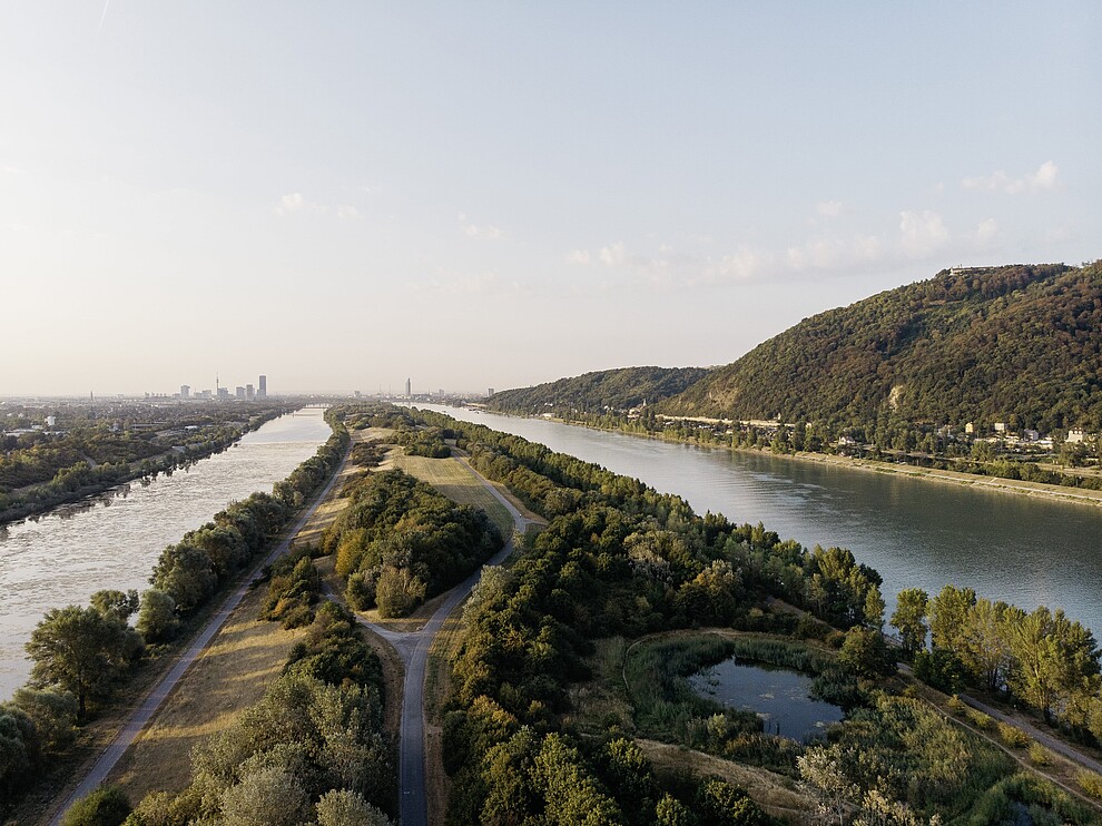 A view from the middle of the Danube Island in Vienna