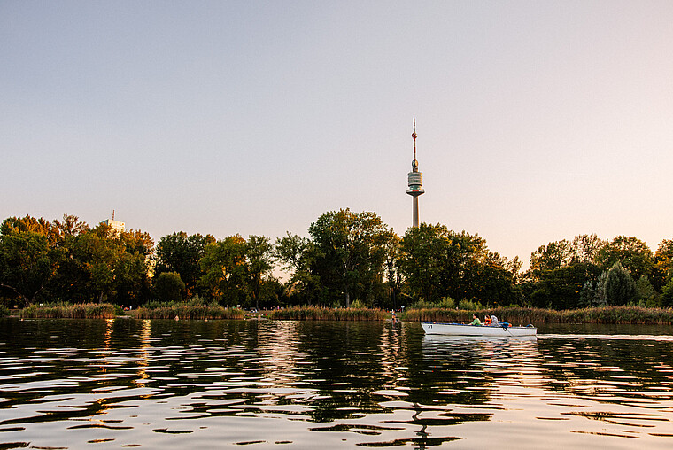 A river view of Vienna from the Danube 