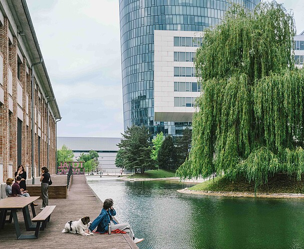 Woman with dog sitting next to river with tree and modern buildings in Vienna